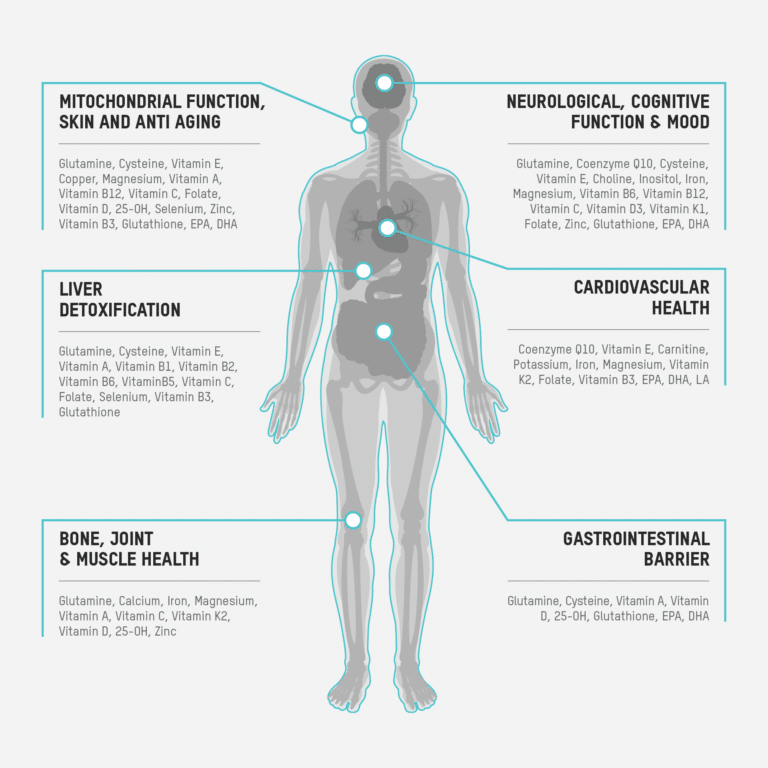 A diagram illustrating the human body's functions related to micronutrient testing.